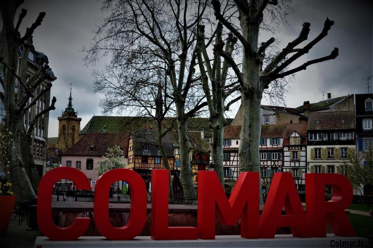 Charmant Appartement Cosy Porte De Colmar Sainte-Croix-en-Plaine エクステリア 写真