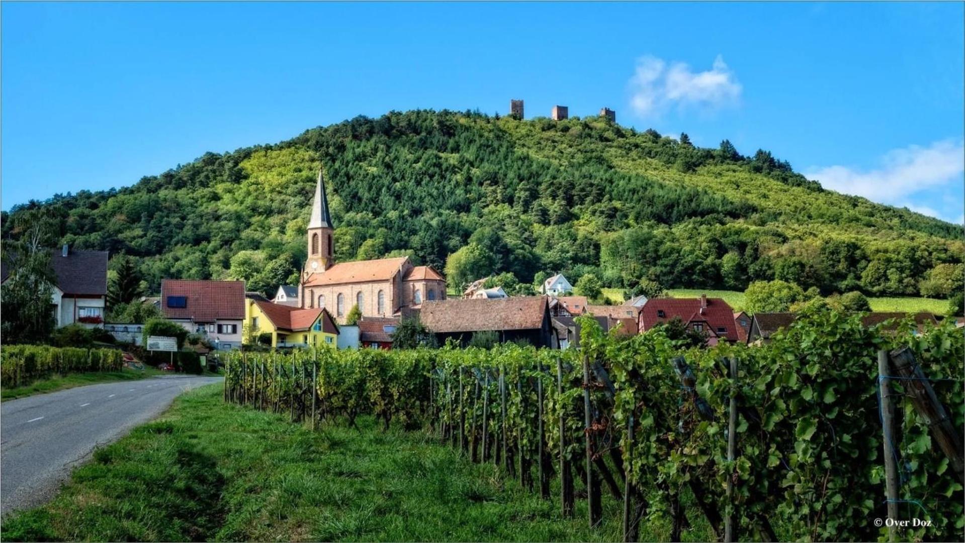 Charmant Appartement Cosy Porte De Colmar Sainte-Croix-en-Plaine エクステリア 写真